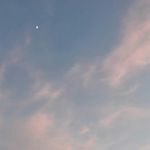 Matthew McPhee - @matthew__mcphee - Instagram