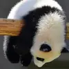 matthewmeininger6 - @matthewmeininger6 - TikTok