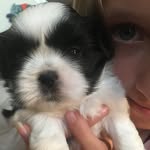 Matthew Merkel - @mattimerkel - Instagram