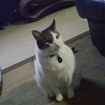 matthew messick - @matthew.messick - Instagram