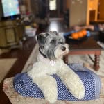 Matthew Messmer - @messmer.matthew - Instagram