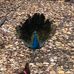 Matt Metzinger - Facebook