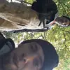 Matthew Meyer - @matthewmeyer65 - TikTok