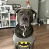 MATTHEW THE GOAT • friends - @matthew.meyers776 - TikTok