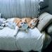 Matthew Meyers - Facebook