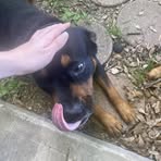 Matthew Mier - Facebook