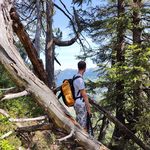 Matthew Milton - @mattmilton__ - Instagram