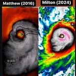 Matthew Milton - @matthew.31000 - Instagram