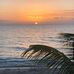 Matt Minich - Facebook