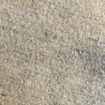 Matthew Modine - @mattmodine - Instagram