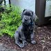 Matt Moffett - Facebook