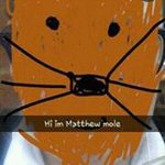 Matthew Mole - @sadmolefeels - Instagram