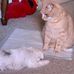 Matthew Moller - Facebook
