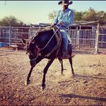 Matthew Monaco - @mort_491 - Instagram