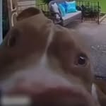 Matthew Monje - @monkytime23 - Instagram