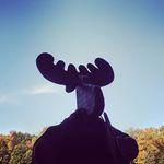 Matthew D. Moose - @mattdamoose - Instagram