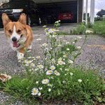 Matthew Moose - @matthewmoose4 - Instagram