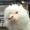 MatthewMoran2626 - @matthewmoran2626 - TikTok
