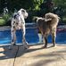 Matt Morett - Facebook