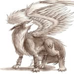 Matthew Motes - @shadowfox132 - Instagram