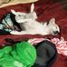 Matthew Motes - Facebook