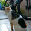 Muhammad Matthew - @muhammad.matthew - TikTok