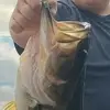 matthewmullis2 - @matthew.mullis5 - TikTok