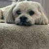 Matthew Murdoch - @mash85855 - TikTok