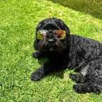 Matthew Murdoch - @murdoch7585 - Instagram