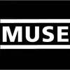 matthewmuse75 - @matthewmuse75 - TikTok