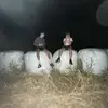 Matthew._Myers - @matthew._myers - TikTok