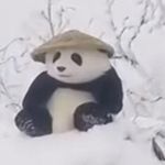 Matthew - @matthew_najarian - Instagram