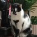 Matthew Neale - Facebook