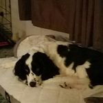 Matthew C Neff - @neff_matthew - Instagram