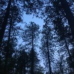 Matthew Neff - @matthewneff_art - Instagram