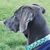 Matthew NeSmith - Facebook