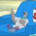 Matt Newhard - Facebook