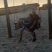 Matt Newhouse - Facebook
