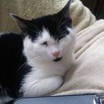 Matthew Newhouse - @newhouse.matthew - Instagram