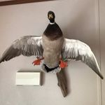 Matthew Nickens - @matthew.nickens - Instagram