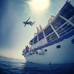 Matthew Nightingale - @matt_mini - Instagram