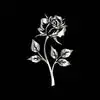Matthew Nightingale - @matthew.nightinga4 - TikTok