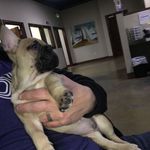 Matthew Normand - @matthew.normand.37 - Instagram
