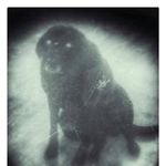 Matthew Normand - @matthew.normand - Instagram