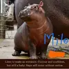 matthewnormand93 - @matthewnormand93 - TikTok