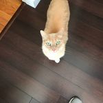 Matthew Odle - @matthewodle18 - Instagram