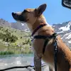 matthewogletree - @matt.tree - TikTok
