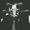 Matthew Oien - @mdiddyoien - TikTok