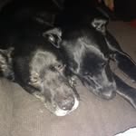 Matthew J. Holder - @matthewjholder - Instagram