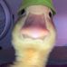 Matthew Olesh - Facebook
